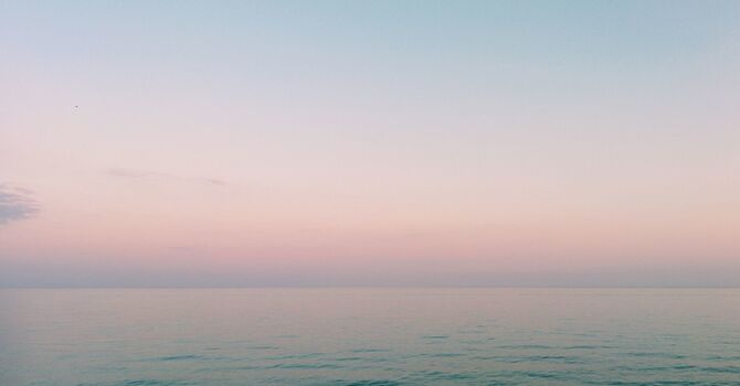 Family Ties That Bind, LLC