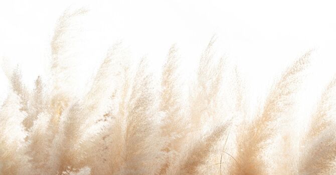 Family Ties That Bind, LLC