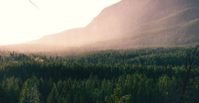 Family Ties That Bind, LLC