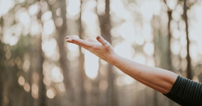 Family Ties That Bind, LLC